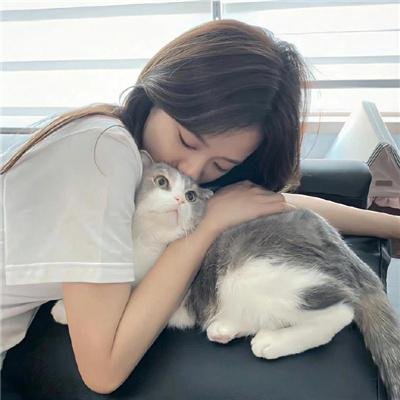 比弗利拜金狗